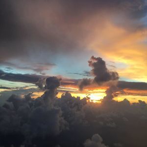 Meet your Posher, Jayne